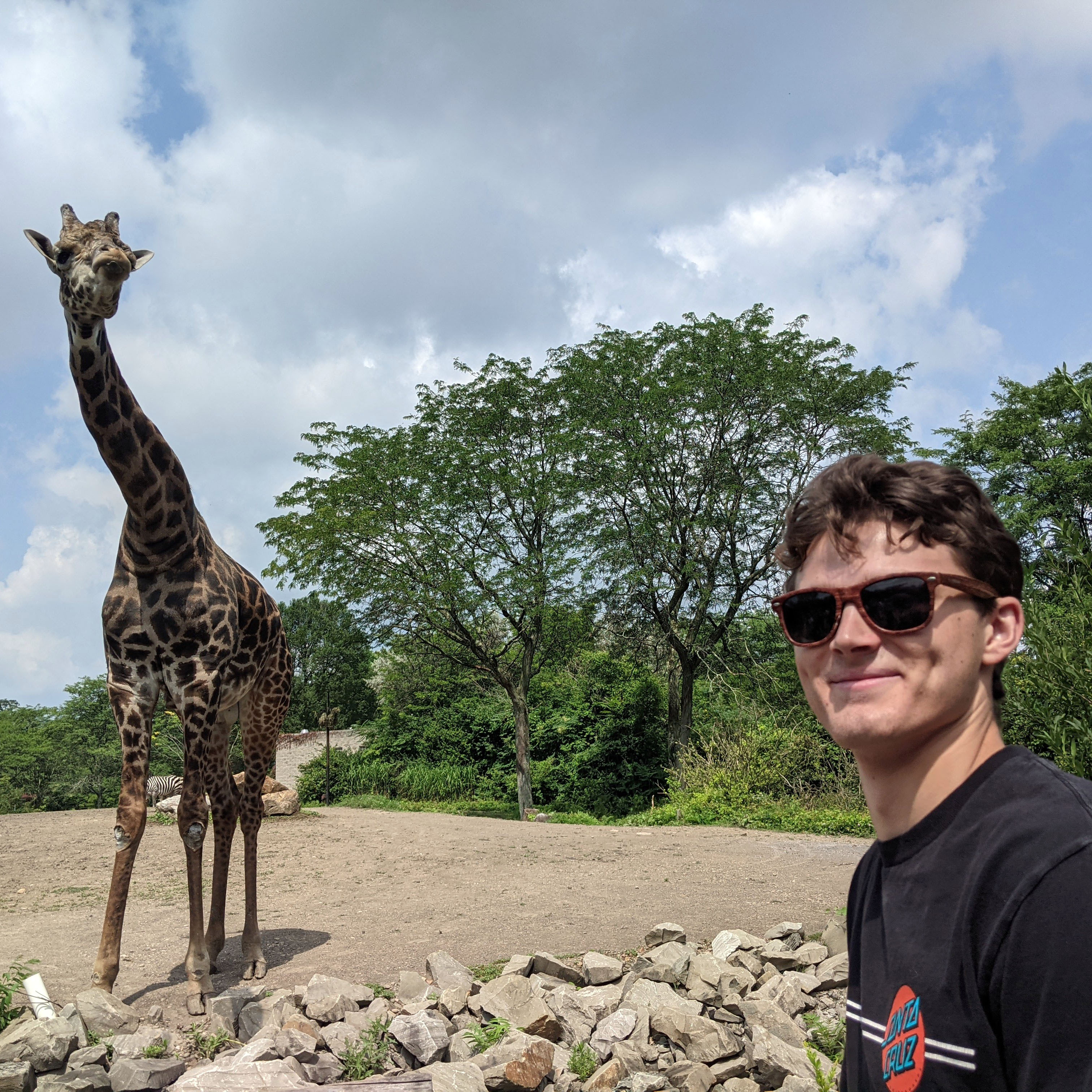 zoo7