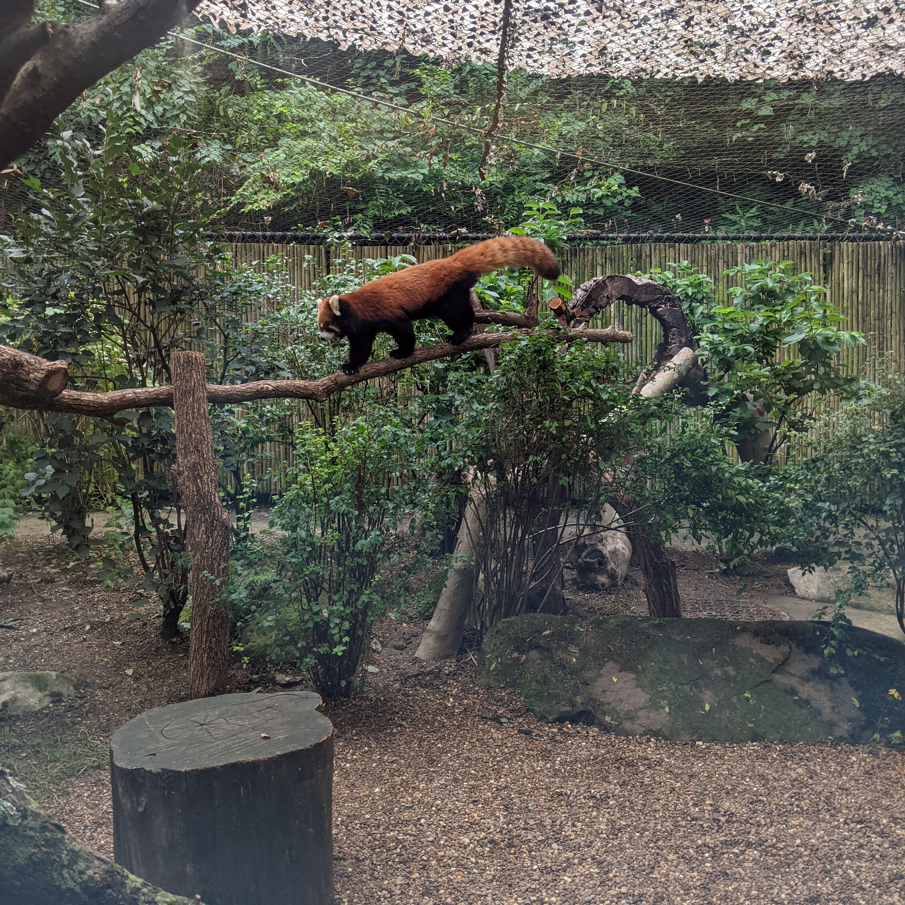 zoo9